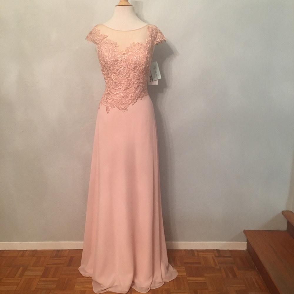 Elegant formal evening gown by Jovani Zs 14, Blush